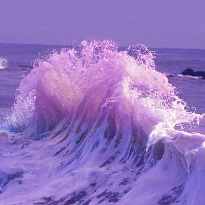 金星棋牌app下载